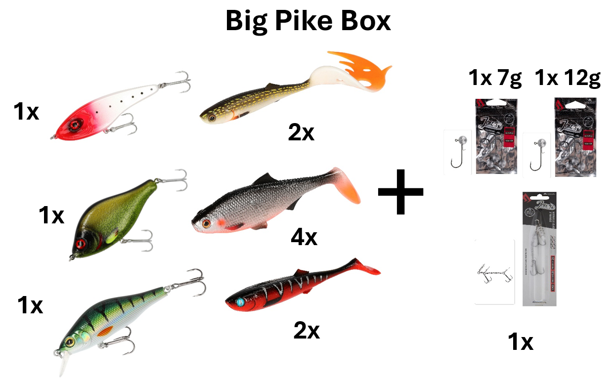 Die Big Pike Box ist das ultimative Set für Hechtangler. Enthält Wobbler, Jerks, Gummifische & Zubehör für kapitale Raubfische.