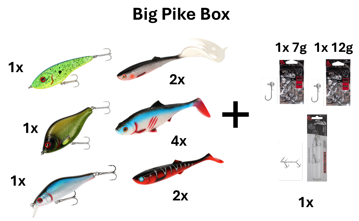 Die Big Pike Box ist das ultimative Set für Hechtangler. Enthält Wobbler, Jerks, Gummifische & Zubehör für kapitale Raubfische.