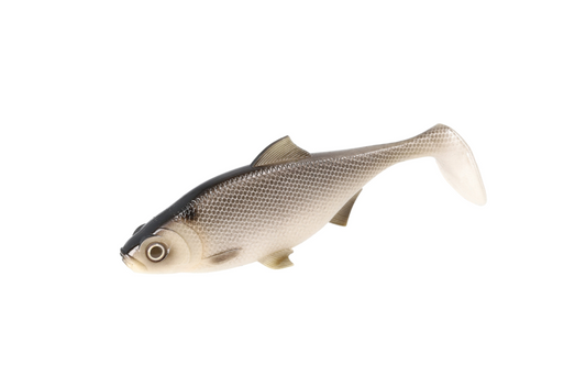 Mikado MFT Roach 8cm Carissio – Realistischer Friedfischköder für Zander, Hecht und Barsch. Perfekt für das Angeln an allen Gewässern.